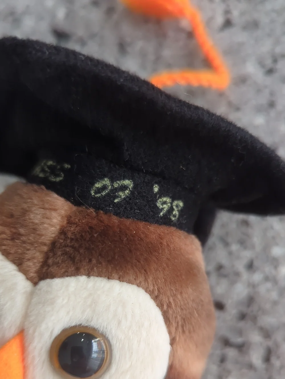 Ty Beanie Baby - Wise